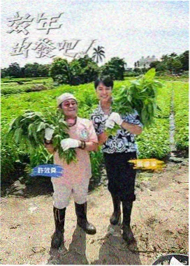 奔跑吧 老牛影视在线看电视剧入口